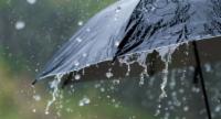 Over 100mm Rainfall Likely in Several Districts
